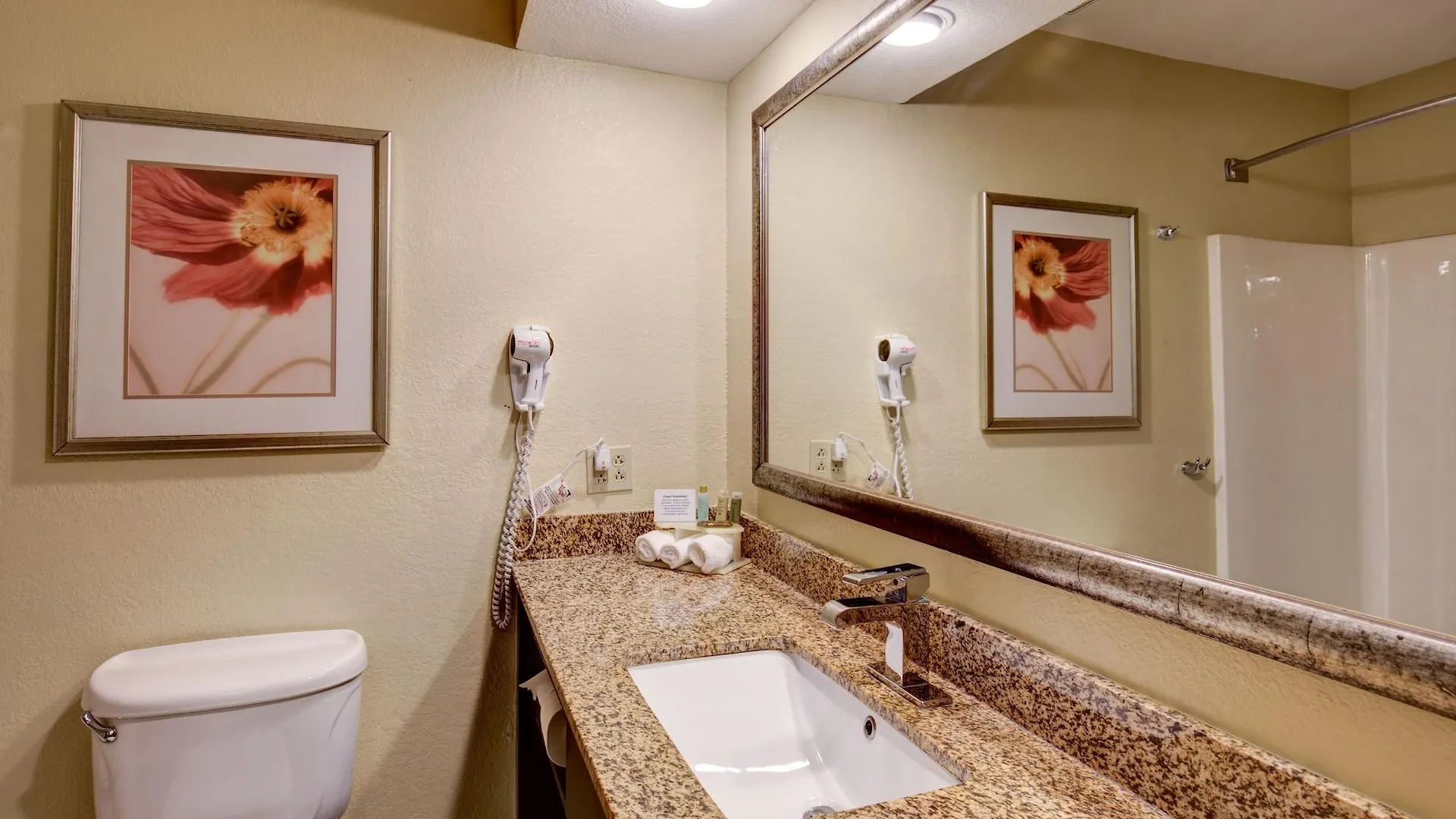 Hotel Comfort Inn & Suites Saint Louis
