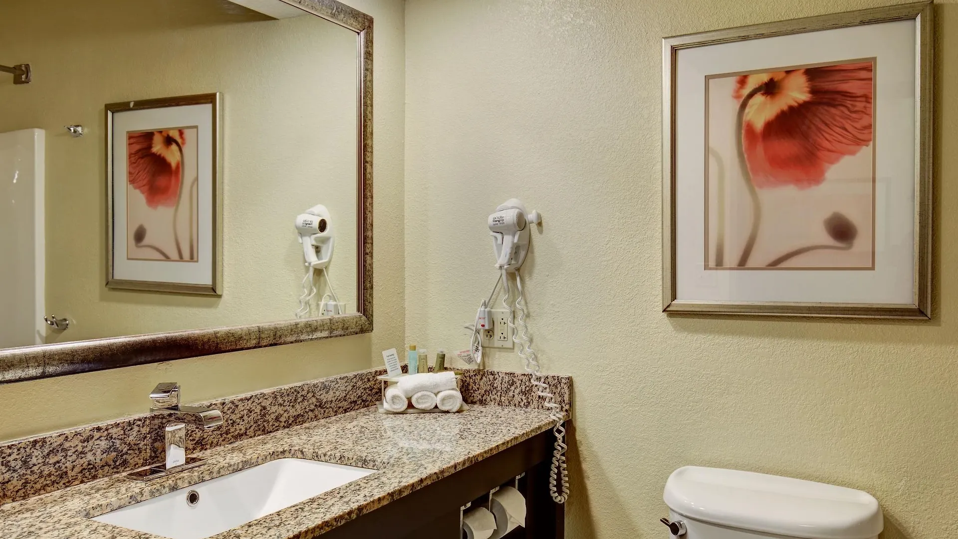 Comfort Inn & Suites Saint Louis Stati Uniti